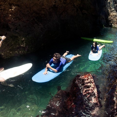 Surfers exploring some of the local scenery